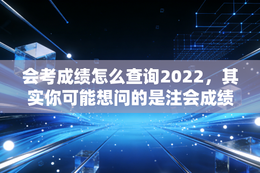 会考成绩怎么查询2022，其实你可能想问的是注会成绩查询——一份关于坚持与释怀的专业指南