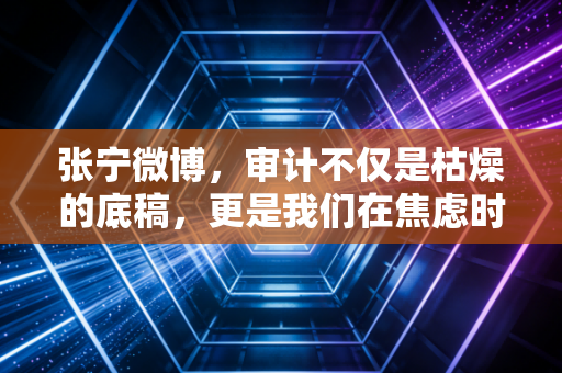 张宁微博，审计不仅是枯燥的底稿，更是我们在焦虑时代的精神避难所