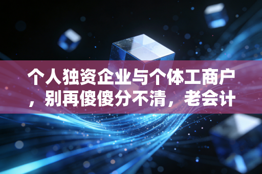 个人独资企业与个体工商户，别再傻傻分不清，老会计告诉你选哪个最划算