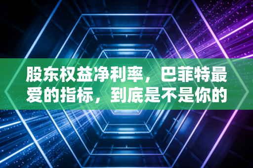股东权益净利率，巴菲特最爱的指标，到底是不是你的赚钱金钥匙？