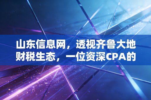 山东信息网，透视齐鲁大地财税生态，一位资深CPA的行业观察与实战心得