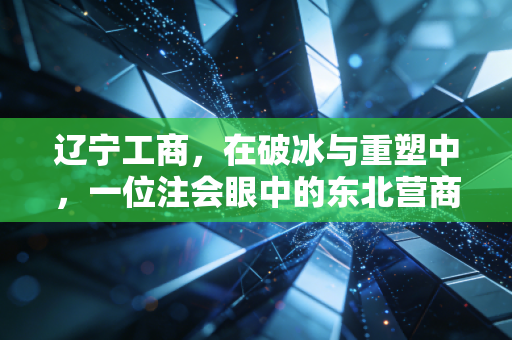 辽宁工商,在破冰与重塑中,一位注会眼中的东北营商环境变迁