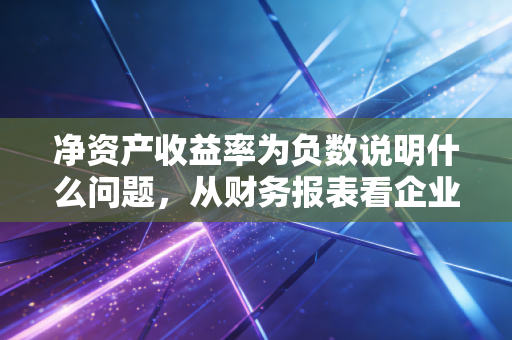 净资产收益率为负数说明什么问题，从财务报表看企业的失血与虚胖