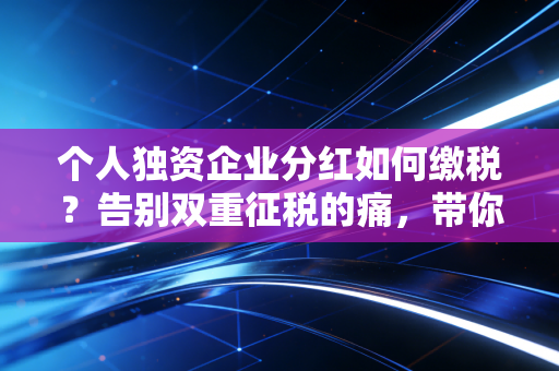 个人独资企业分红如何缴税?告别双重征税的痛,带你读懂背后的门道与风险