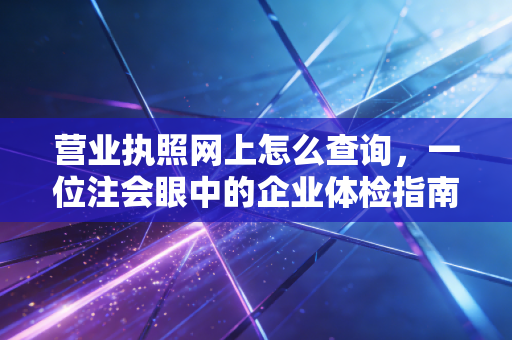 营业执照网上怎么查询,一位注会眼中的企业体检指南