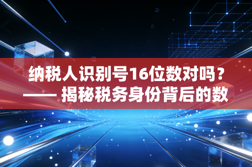 纳税人识别号16位数对吗？—— 揭秘税务身份背后的数字密码与职场误区