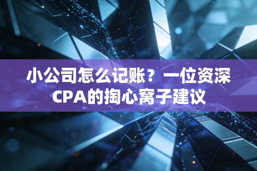 小公司怎么记账?一位资深CPA的掏心窝子建议