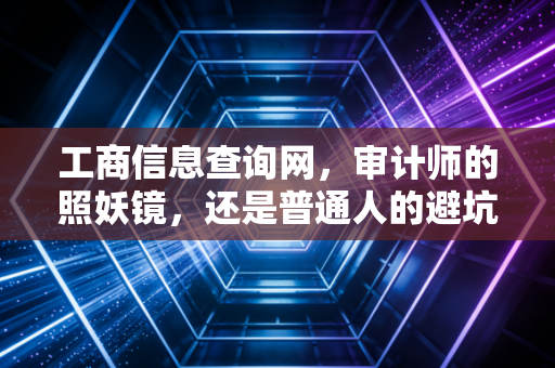 工商信息查询网,审计师的照妖镜,还是普通人的避坑指南?
