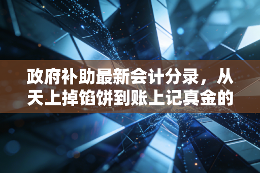 政府补助最新会计分录，从天上掉馅饼到账上记真金的实操指南