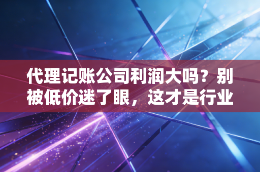 代理记账公司利润大吗？别被低价迷了眼，这才是行业的真实生存法则