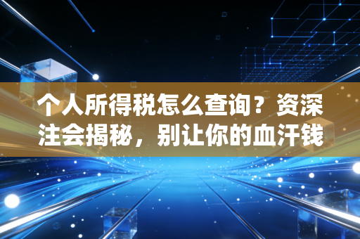个人所得税怎么查询?资深注会揭秘,别让你的血汗钱在系统里睡大觉