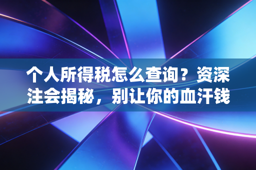 个人所得税怎么查询?资深注会揭秘,别让你的血汗钱在系统里睡大觉