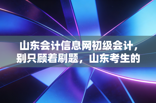山东会计信息网初级会计,别只顾着刷题,山东考生的上岸真相与职业突围