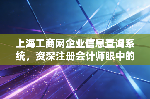 上海工商网企业信息查询系统，资深注册会计师眼中的商业照妖镜与避坑指南