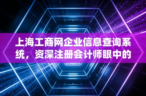 上海工商网企业信息查询系统，资深注册会计师眼中的商业照妖镜与避坑指南
