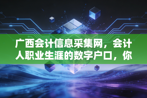 广西会计信息采集网，会计人职业生涯的数字户口，你办好了吗？