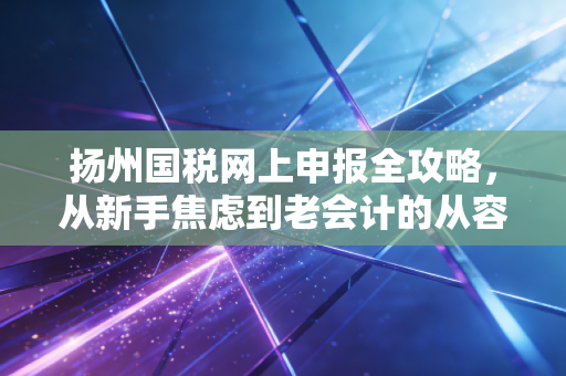 扬州国税网上申报全攻略，从新手焦虑到老会计的从容应对