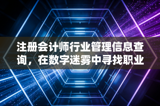 注册会计师行业管理信息查询，在数字迷雾中寻找职业的灯塔