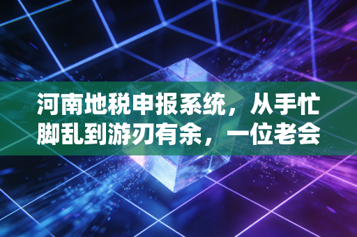 河南地税申报系统，从手忙脚乱到游刃有余，一位老会计的掏心窝子话