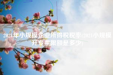 详细阅读:2021年小规模企业所得税税率(2021小规模开专票限额是多少) 2021年小规模企业所得税税率(2021小规模开专票限额是多少)