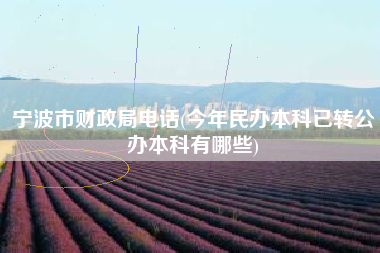 详细阅读:宁波市财政局电话(今年民办本科已转公办本科有哪些) 宁波市财政局电话(今年民办本科已转公办本科有哪些)