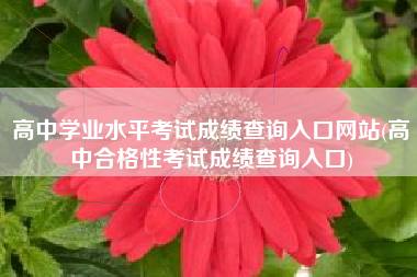 详细阅读:高中学业水平考试成绩查询入口网站(高中合格性考试成绩查询入口) 高中学业水平考试成绩查询入口网站(高中合格性考试成绩查询入口)