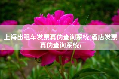 详细阅读:上海出租车发票真伪查询系统(酒店发票真伪查询系统) 上海出租车发票真伪查询系统(酒店发票真伪查询系统)