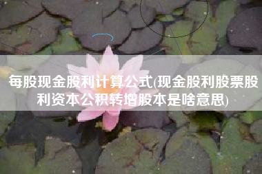 详细阅读:每股现金股利计算公式(现金股利股票股利资本公积转增股本是啥意思) 每股现金股利计算公式(现金股利股票股利资本公积转增股本是啥意思)