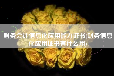 详细阅读:财务会计信息化应用能力证书(财务信息化应用证书有什么用) 财务会计信息化应用能力证书(财务信息化应用证书有什么用)