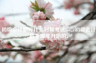详细阅读:初级会计职称什么时候考试(2021初级会计机考哪年开始的) 初级会计职称什么时候考试(2021初级会计机考哪年开始的)