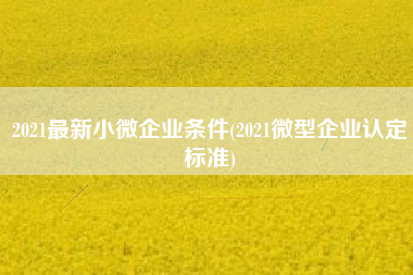 详细阅读:2021最新小微企业条件(2021微型企业认定标准) 2021最新小微企业条件(2021微型企业认定标准)