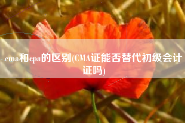 cma和cpa的区别(CMA证能否替代初级会计证吗)
