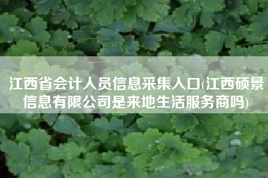 江西省会计人员信息采集入口(江西硕景信息有限公司是来地生活服务商吗)