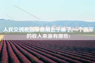 详细阅读:人民交的税国家都用去干嘛了(一个国家的收入来源有哪些) 人民交的税国家都用去干嘛了(一个国家的收入来源有哪些)