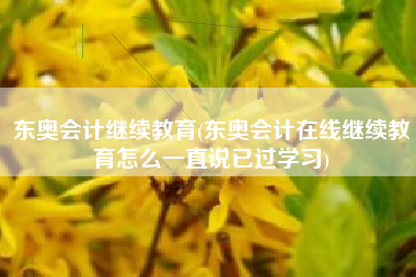 东奥会计继续教育(东奥会计在线继续教育怎么一直说已过学习)