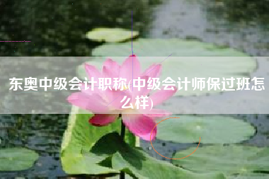 东奥中级会计职称(中级会计师保过班怎么样)