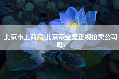 北京市工商局(北京荣宝是正规拍卖公司吗)