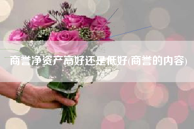 商誉净资产高好还是低好(商誉的内容)