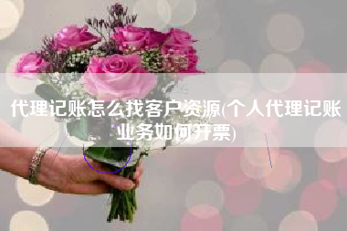 代理记账怎么找客户资源(个人代理记账业务如何开票)