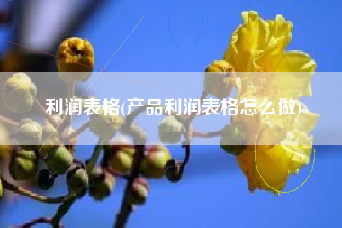 详细阅读:利润表格(产品利润表格怎么做) 利润表格(产品利润表格怎么做)