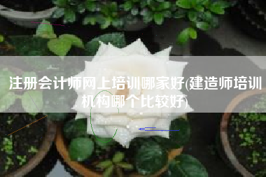 注册会计师网上培训哪家好(建造师培训机构哪个比较好)