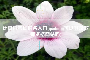 计算机考试报名入口(ipadmini可以登录教师资格网站吗)