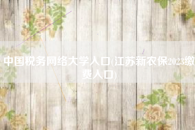 详细阅读:中国税务网络大学入口(江苏新农保2023缴费入口) 中国税务网络大学入口(江苏新农保2023缴费入口)