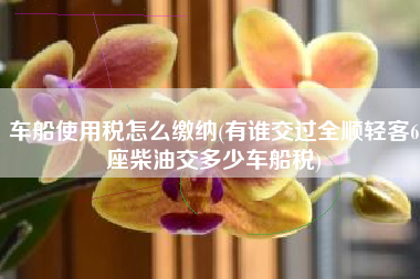 车船使用税怎么缴纳(有谁交过全顺轻客6座柴油交多少车船税)