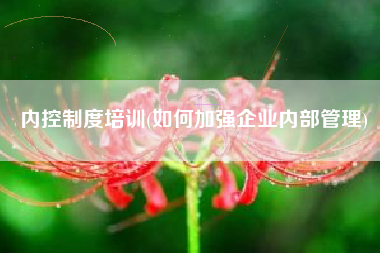 内控制度培训(如何加强企业内部管理)