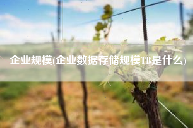 企业规模(企业数据存储规模TB是什么)
