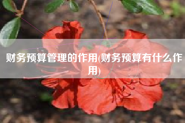 财务预算管理的作用(财务预算有什么作用)