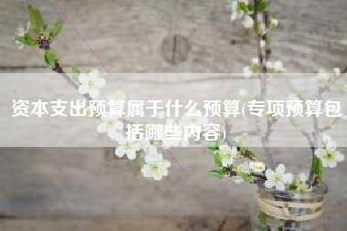资本支出预算属于什么预算(专项预算包括哪些内容)