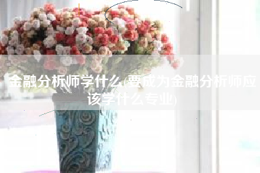 金融分析师学什么(要成为金融分析师应该学什么专业)