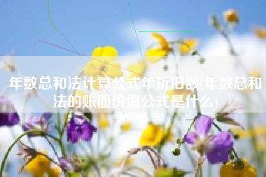 年数总和法计算公式年折旧额(年数总和法的账面价值公式是什么)